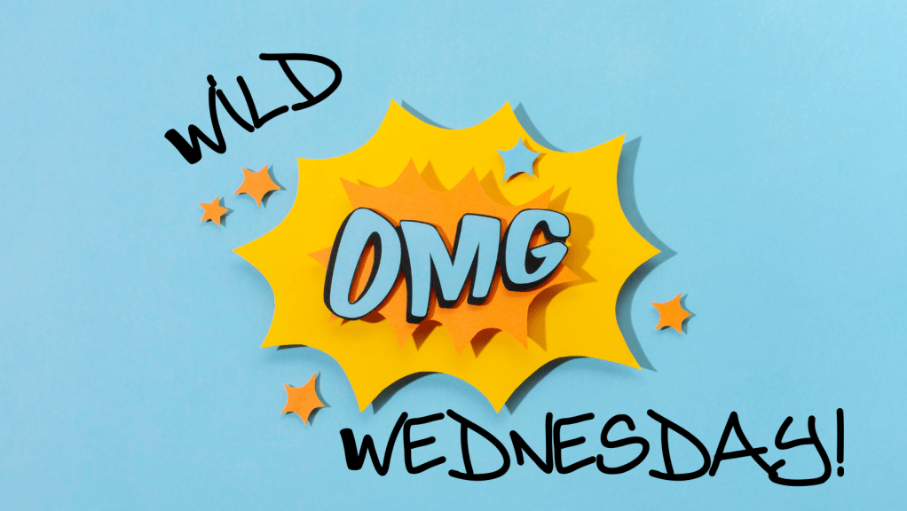 Wild Wednesday!