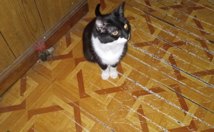 The Cost of&nbsp;Grief…